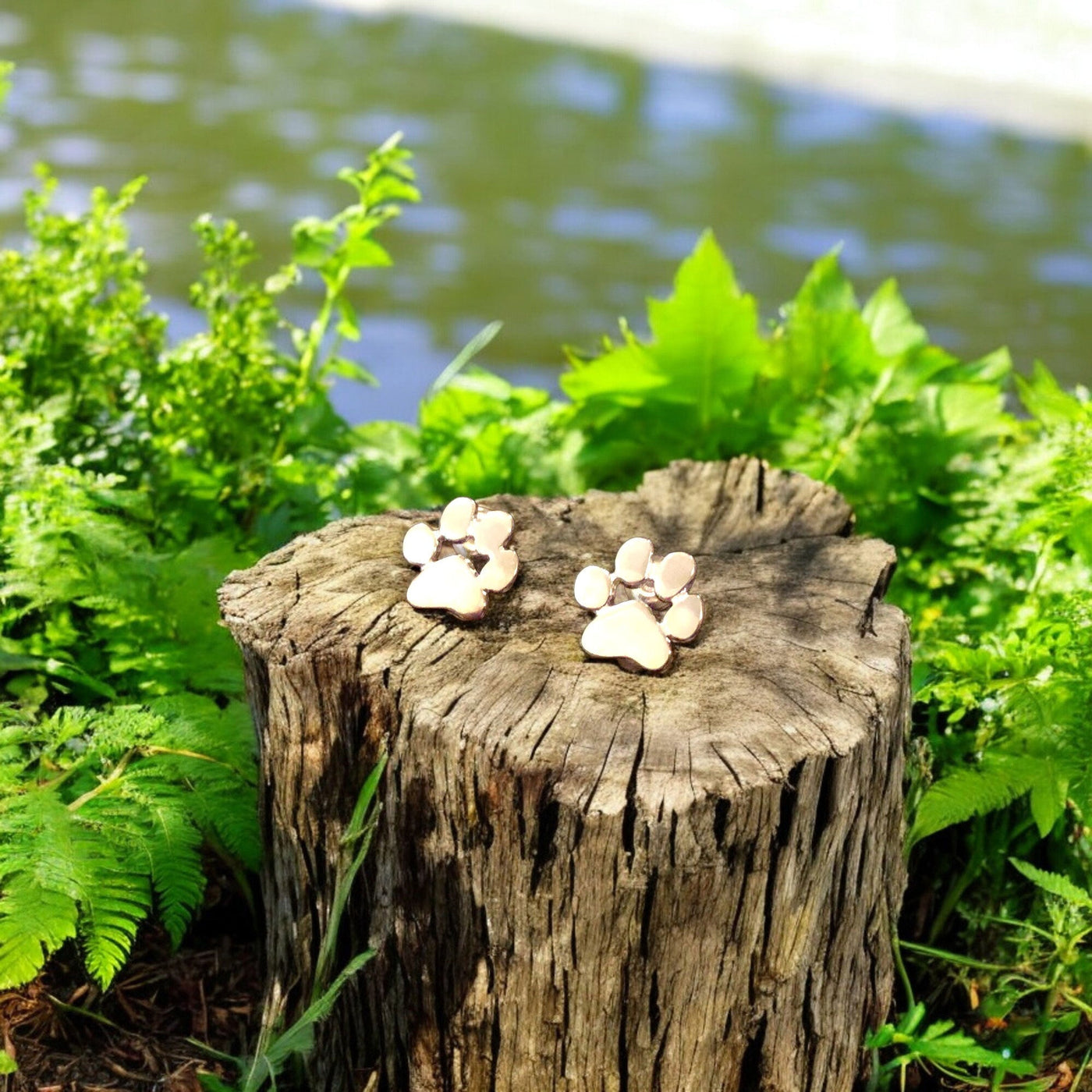 Boucles d’Oreilles Patte Hypoallergéniques