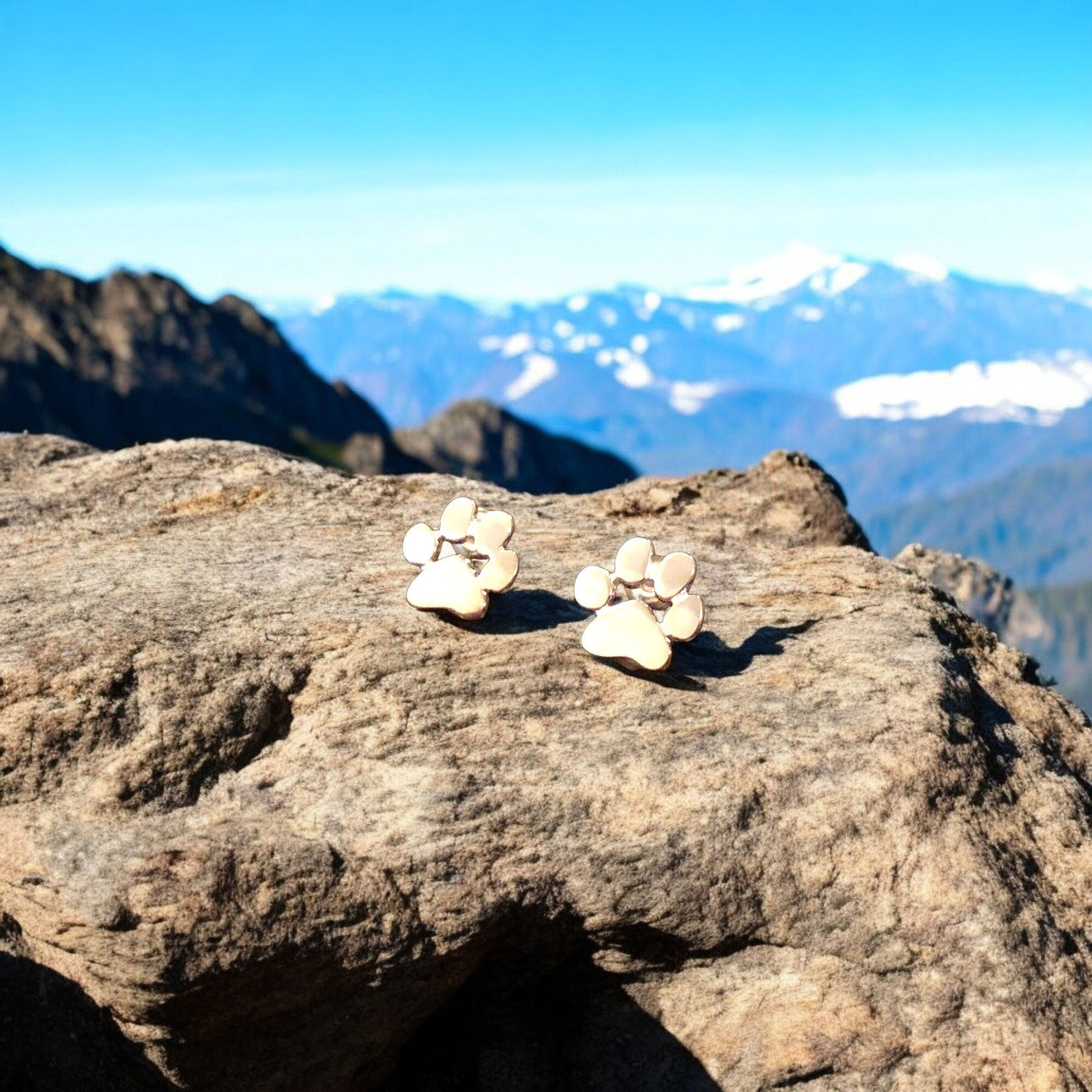 Boucles d’Oreilles Patte Hypoallergéniques